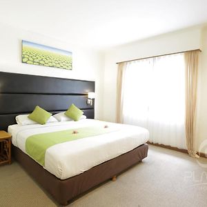 Suite à 1 Chambre à Coucher